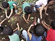 Earth Day: Lesson Plans, Reading Lists, and Classroom Ideas