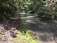 Hiking Medina River Natural Area