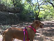 Cathedral Rock Park Has Unique Trails