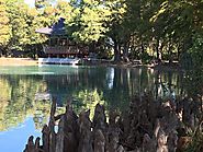 Best Places to Hike in San Antonio