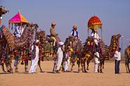 Desert Festival, Jaisalmer, Rajasthan