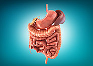 جراحات الجهاز الهضمي | دكتور وائل شعلان