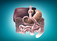 عملية التقسيم الثنائي (الساسي) | دكتور وائل شعلان