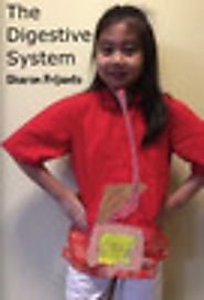 The Digestive System by Sharon Prijanto