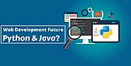 Web Development Future – Python & Java? - Your Team in India