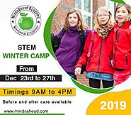 STEM Winter Camp