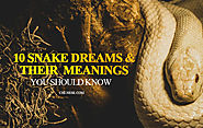 10 Snake Dream Meanings You Should Know - Snake Dream Interpretation