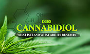 What is Cannabidiol (CBD) And What Are Its Significant Benefits?- FAQ's about Cannabidiol (CBD)