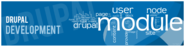Drupal Website Development, Customization Company in Mumbai, India | Parsys Media