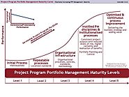 Portfolio, Program and Portfolio Management Maturity Modelusiness Pty Ltd