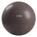 SPRI Elite Xercise Balance Ball (Slate, 55cm)