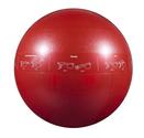 GoFit 65cm Professional Stability Ball