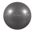 GoFit 75cm Professional Stability Ball