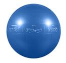 GoFit 55cm Professional Stability Ball