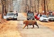 Melghat Tiger Reserve and Chikhaldara