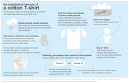 The Lifecycle of a Cotton T-shirt