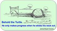 Conant quote on Behold The Turtle, illustrated