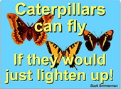 Caterpillars can FLY, if they would just lighten up...