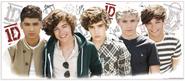 One Direction Giant Wall Decal Cutout 16.75"x39"