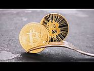 Bitcoin Forks Explained