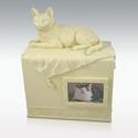 AngelStar Pet Urn for Cat, 75 Cubic Inch