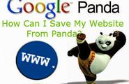 Prevent Your Website from Panda Updates