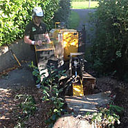 Tree Care Bracknell - Brackenll Tree Felling