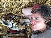 Cuddle a tiger