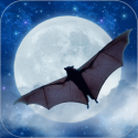 Bats! Furry Fliers of the Night App By Story Worldwide