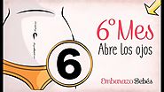 MES 6 | Sexto mes de #embarazo | Semana a semana