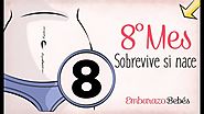 MES 8 | Octavo mes de #embarazo | Semana a semana