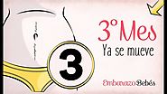 MES 3 | Tercer mes de #embarazo | Semana a semana