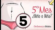 MES 5 | Quinto mes de #embarazo | Semana a semana