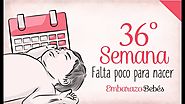 Semana 36 de embarazo | 9º Mes | Semana a semana