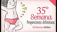 Semana 35 de embarazo | 8º Mes | Semana a semana