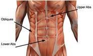 The Best Lower Abdominal Exercises