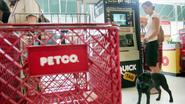 Petco, PetSmart to Stop Selling China-Made Dog and Cat Treats