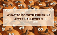 What to Do With Pumpkins After Halloween: 17 Cool Ideas