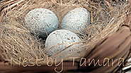 Nest by Tamara