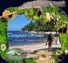 Tortuguero Wildlife Tours,Caribbean coast,tortuguero channels, Limon,Costa Rica