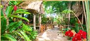 Tranquilseas, Roatan, Honduras ~ Eco Lodge Accommodation, Diving, Boat Tours, Restaurant and Bar