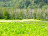 Golfing in Southeast Alaska | Valley of the Eagles Golf Links