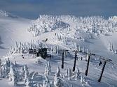 Eaglecrest Ski Area - Wikipedia, the free encyclopedia