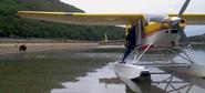 Kodiak Bear Viewing Tours Alaska Kingfisher Aviation