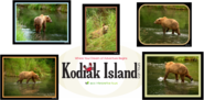 Kodiak Island Van Tours