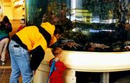 Kodiak Laboratory Aquarium