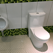 Bồn cầu Caesar - Bệ xí bệt bàn cầu vệ sinh giá rẻ chính hãng 1️⃣00%