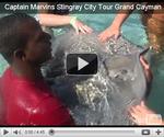 Captain Marvins | Stingray City Operator | Grand Cayman