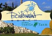 Cayman Turtle Farm - Wikipedia, the free encyclopedia