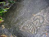 Reef Bay Trail petroglyphs - Wikipedia, the free encyclopedia